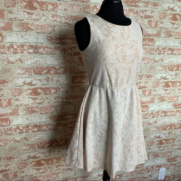 HEARTSOUL Cream Lace Dress Sleeveless Large Fit Flare Light Blush - Picture 6 of 10